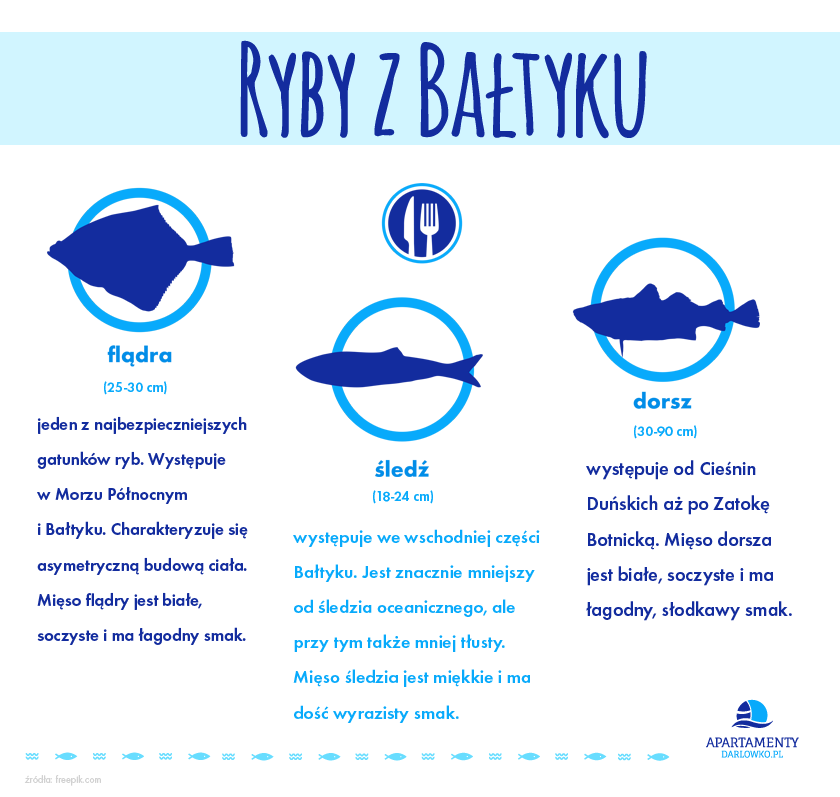Ryby z Bałtyku
