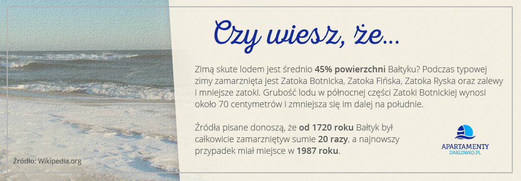 Czy wiesz, że... Czy wiesz, że...