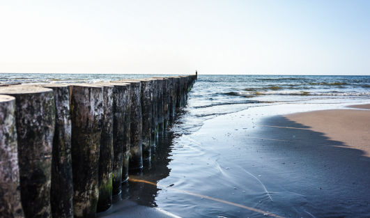 Nadmorska miłość od pierwszego wejrzenia